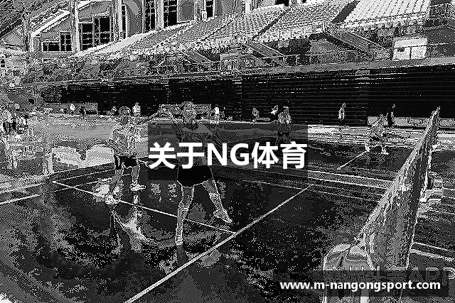 关于NG体育